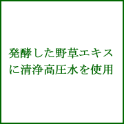 発酵した野草エキス 発酵した野草エキス
